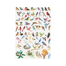 70 Adet Fairycore Kuş Sticker Seti - Etiket Seti Scrapbook Bullet Journal Çok Renkli