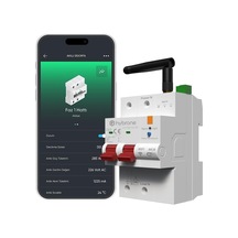 Akıllı Wi-fi Otomatik Sigorta, C Tipi 63a 2p, Akım Koruma Rölesi, 220v-240v