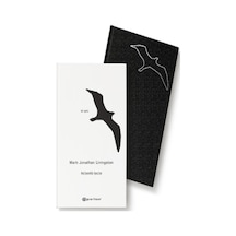 Martı Jonathan Livingston-50.Yıla Özel Baskı - Richard Bach - Epsilon Yayınevi