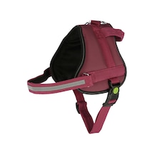 Kerbl Köpek Belden Tasma Maestro 2.0 Bordo 83 - 113 CM Bordo