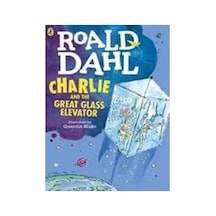 Roald Dahl Charlie And The Great Glass Elevator