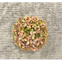 Modern Gri Saksıda Gerçekçi Yapay Dekoratif Bitki 17 X13 Cm Ev Ve Ofis Dekoru Çok Renkli