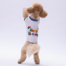 Happy Birthday Kedi Köpek Sweati - Kedi Köpek Kıyafeti