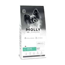 Molly Düşük Tahıllı Hypoallergenic Somonlu Küçük Irk Yetişkin Köpek Maması 2 Kg