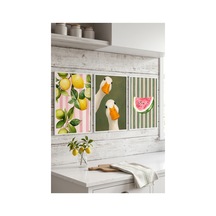 Beyaz Ahşap Çerçeveli Yeşil Pembe Limon Temalı Duvar Tablosu 3 Lü Set Ördek Ve Meyve Desenli Modern Dekorasyon Kabartma Görünümlüdür Beyaz
