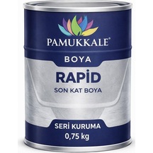 Pamukkale 1402 Rapid Hızlı Kuruyan Metal Boyası Parlak 0.75 Kg Metalik Gri Ral 9006