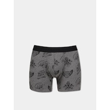 Colin's Colins Modern Fit Baskılı Erkek Gri Boxer Cl1075761 Q1.v2 Mga Gri Melanj