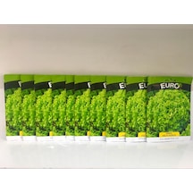 10 Adet Kıvırcık Marul Tohumu N116847