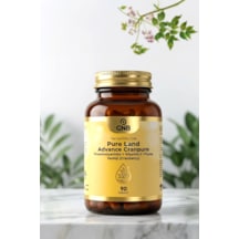 Gnb Pure Land Advance Cranpure Proantosiyanidin + Vitamin C + Turna Yemişi Cranberry 90 Kapsül