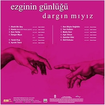 Ezginin Günlüğü/dargın Mıyız Plak Lp