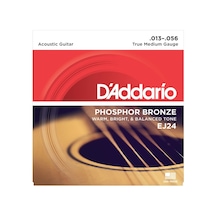 D'addario Ej24
