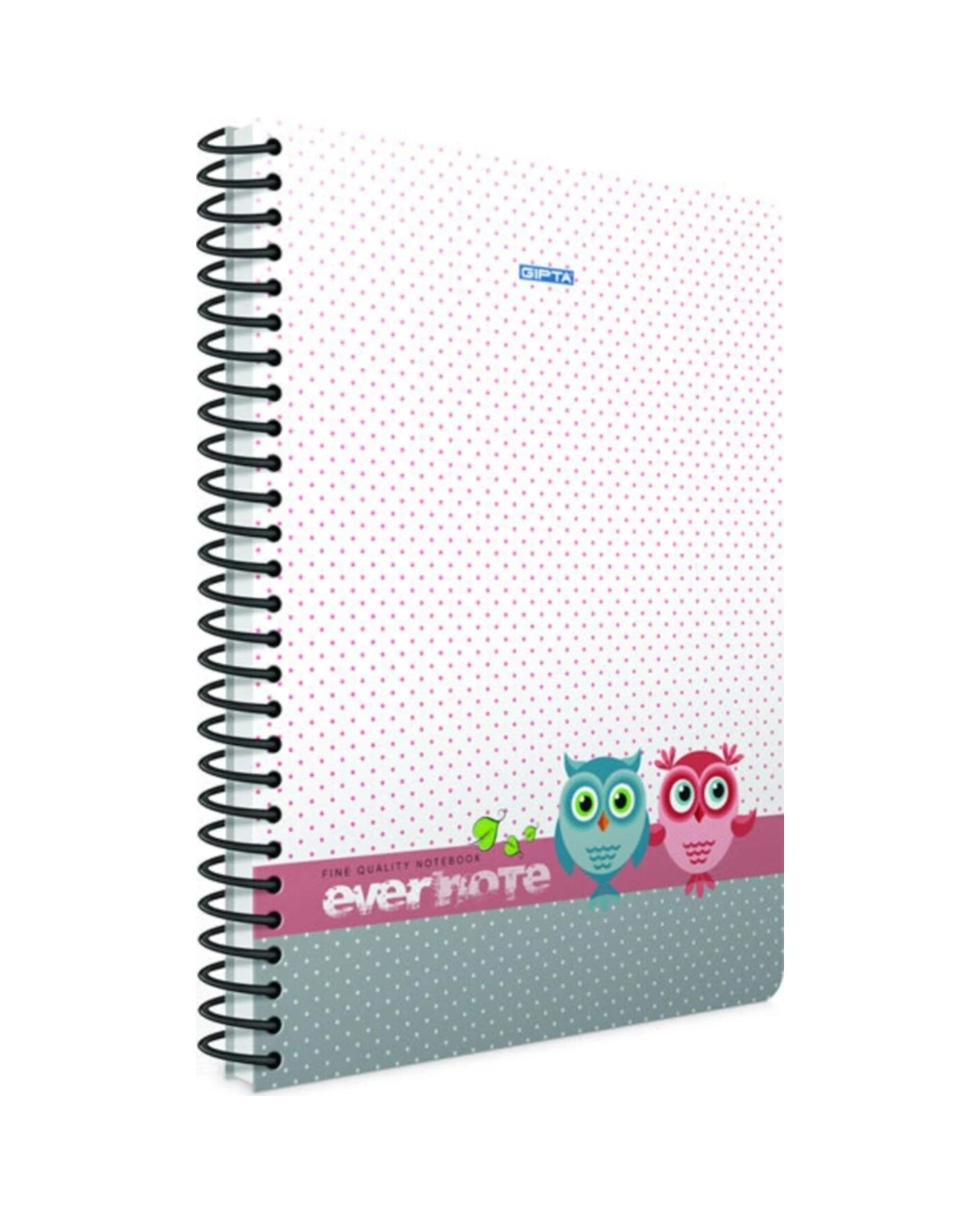80 Yaprak A4 Envernote Spiralli Ofset Plastik Kapak Çizgili Defter 1694