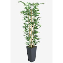 Yapay Çiçek Deposu Yapay Bambu Ağacı 155 Cm 4 Gövdeli Yeşil Ahşap Antrasit Saksı