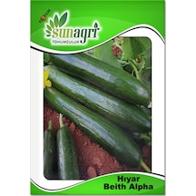 Beith Alpha Salatalık Tohumu 6 Paket