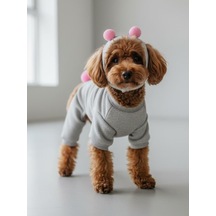 Ponpon Şeker Köpek Tulumu & Bere Takımı Şardonlu Polar Kumaş Küçük Irk Köpekler İçin Tüy Dökülmesini Gri M