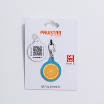 Citrus Desenli Qr Tag Evcil Hayvan Künyesi İsimlik Pet Tag Köpek Künyesi Kedi Künyesi Qr Kodlu Künye Turkuaz