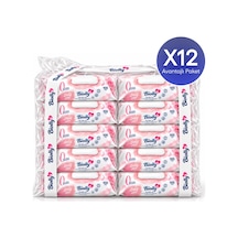Biolly Daily Care Günlük Islak Mendil 100 Yaprak 12'li Paket 12'li Set