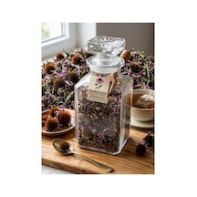 Ekinezya Echinacea Purpurea 50 Gr - 939377132
