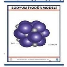 Sodyum Iyodür Nal Modeli Levhası 70X100 Cm