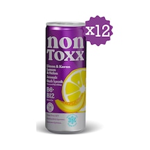 Nontoxx Limon & Kavun Aromalı, Sirkeli, Gazlı İçecek 250 Ml