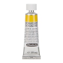 Schmincke Horadam Gouache Artist Guaj Boya 15 Ml Seri 2 228 Cadmium Yellow Middle Çok Renkli