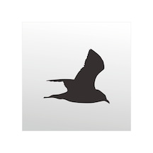 Folyo Sticker Martı 100cm Uzunluk Siyah