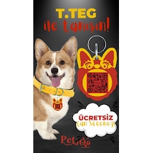 Petjoo 15.T.Teg Kırmızı-Sarı Qr'lı Köpek Künyesi