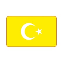 Cg Şeffaf Sarı Bayrak Far Filmi Standart