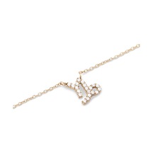 Daniel Wellington Dw00400928 Kadın Kolye Diğer