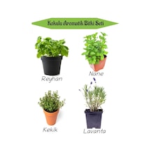 Aromatik Kokulu Mutfak Seti Reyhan+nane Fidanı+kekik+lavanta Fidesi 4 Adet, Srd010na0821 Diğer
