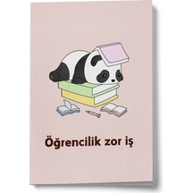 Çok Renkli