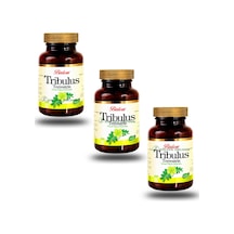 3 Kutu Balen Tribulus Terrestris Demir Dikeni Kapsül 60 x 620 MG