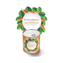 Konserve Bahçem Havuç Tohum Yetiştirme Kiti