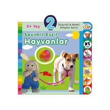 Yaş Sevimli Evcil Hayvanlar 2+yaş - Rxlu-601344