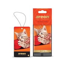 5 Adet Areon Wild The Small Tiger Oto Araç Kokusu Diğer