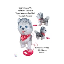 Kurt Köpeği