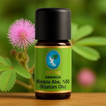 Mimoza Küstümotu Abs. %50 Geleneksel %100 Saf Uçucu Yağ 5ml