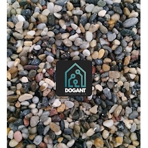 Dogant Dolomit Teraryum Fanus Saksı Dere Çakıl Taşı, 2 Kg