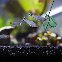 Akvaryum Balık Kepçesi 12 Cm. Çok Renkli