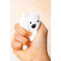 Panda1