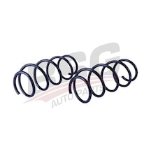 Bsg Helezon Yayı On - Megane Iı 01-12