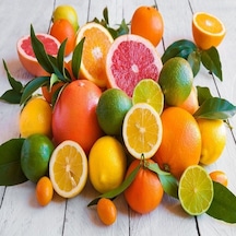 Aşılı Kamkat+Yediveren Limon+Mandalina Pakedi. Torbada