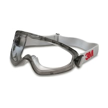 3M 2890 Şeffaf Goggle Gözlük