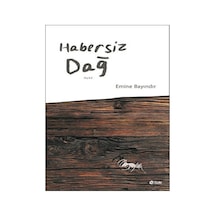 Habersiz Dağ - Emine Bayındır - Şule Yayınları