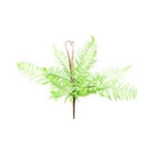 Yapay Bitki Fujer/eğrelti Otu 55 Cm. Çok Renkli