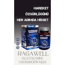 Ragawell Glikozamin Kondroitin Msm 30 Tablet
