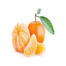Tüplü Aşılı Meyve   Yüksek Nova Mandalina Fidanı