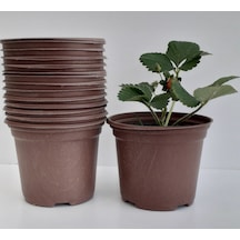 Üretim Saksısı 12X10 Cm 100 Adet Vakum Saksı Fide Saksısı