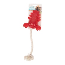 Pawise - 259 - Happy Life Oyuncak - Edntrend - İpli İstakoz