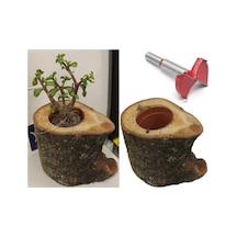 Mum Yuva Saksı Menteşe 35Mm 40Mm 45Mm 50Mm Ahşap Freze Panç Karo